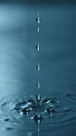비