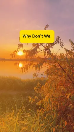 Why Don’t We