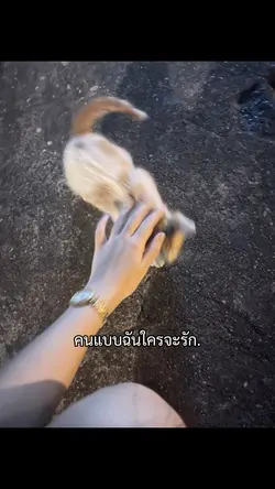 ไม่มีใครรัก