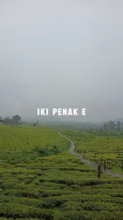 kata kata lucu