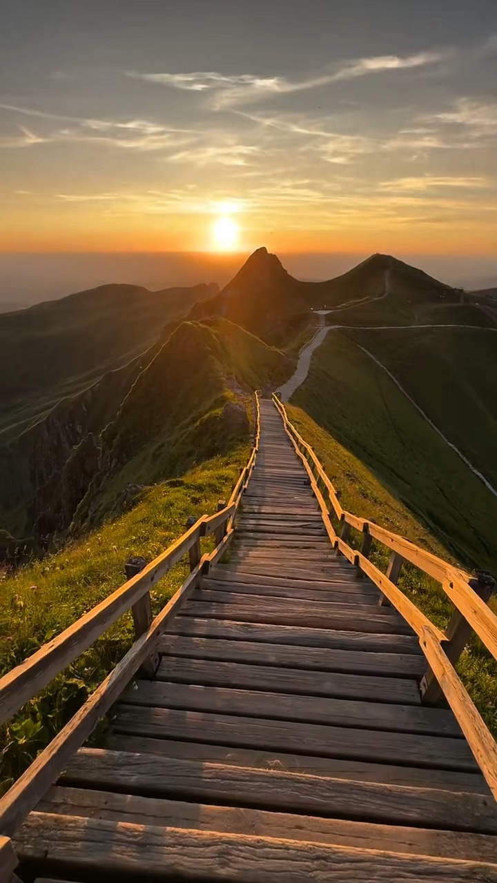 5 clips video nature