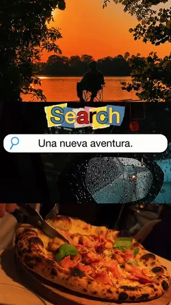 Search 