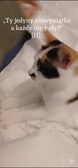 :P