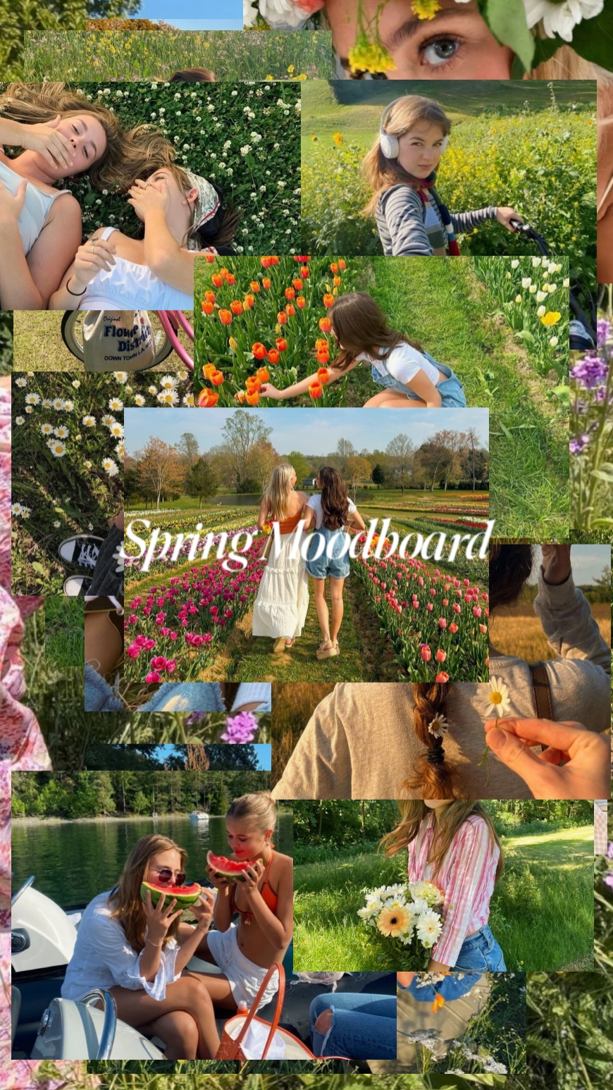 spring dump