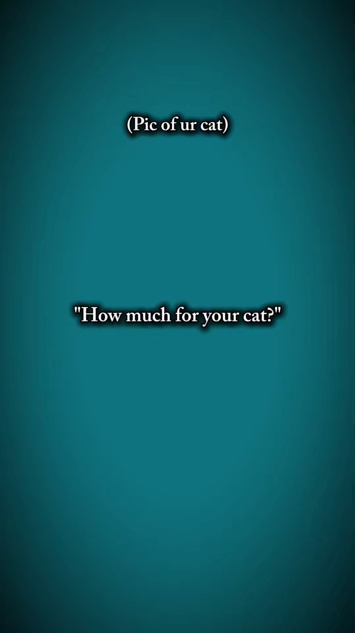 Tu gato