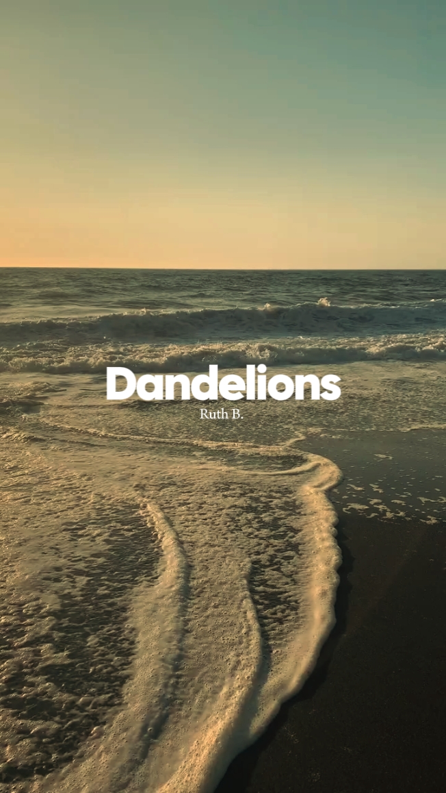 Dandelion slowmo