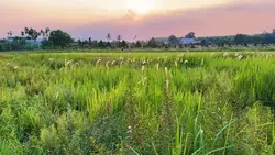 Sound Nhạc Thư Giãn 