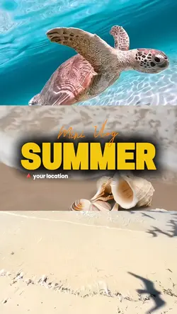 Vlog summer