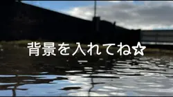 文字PVエゴロック