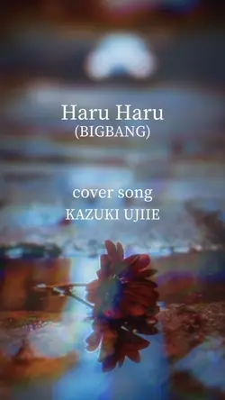 Haru Haru cover