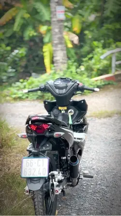 Y15zr