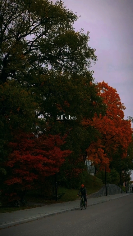 fall vibes