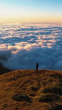 Adventure Cinematic