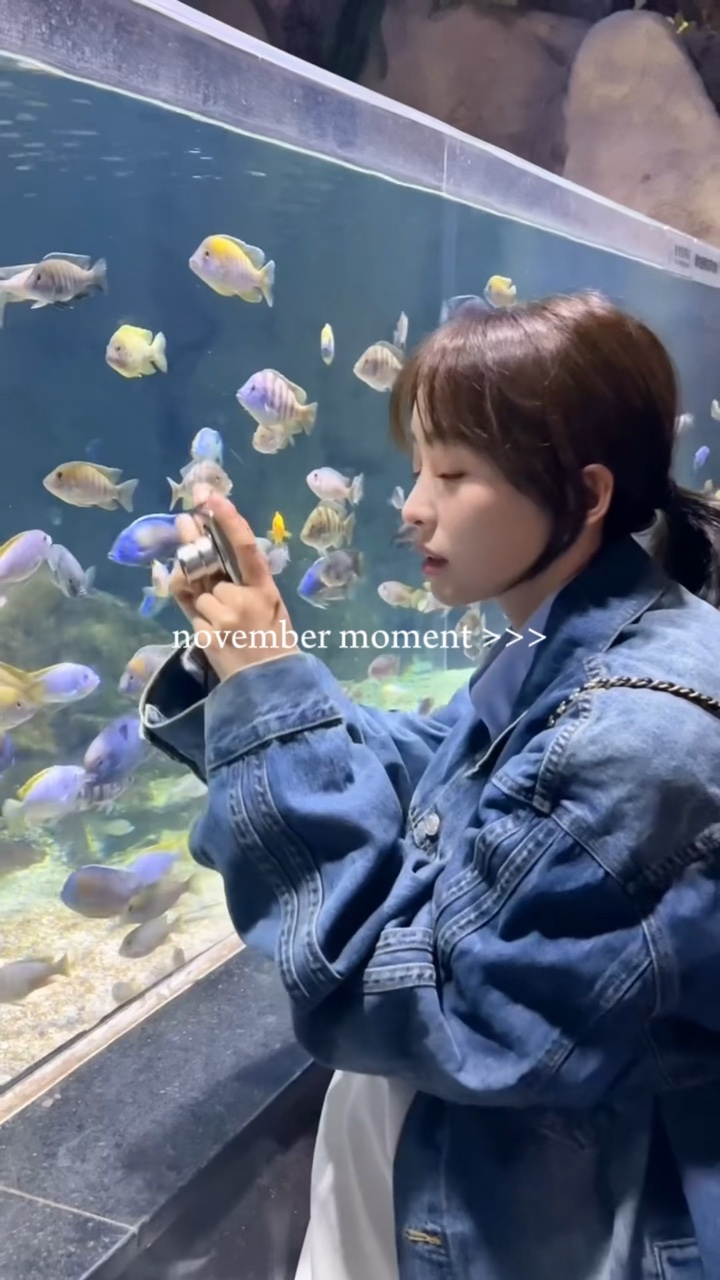 november moment 