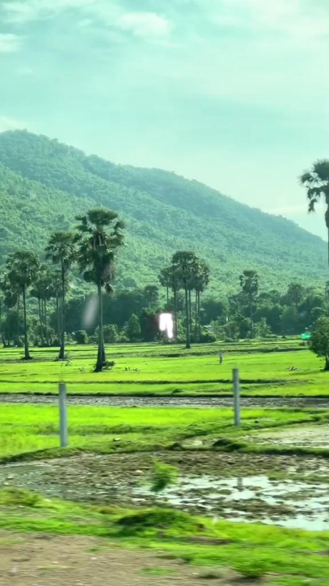 កុំតឹងរឹងចំពោះខ្លួន