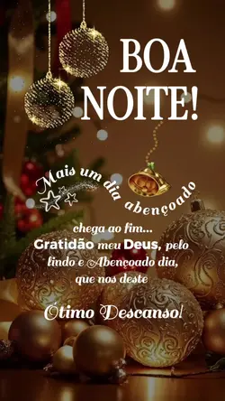 Boa Noite 2511