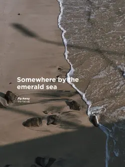 Fly Away