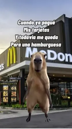 Capybara bailando