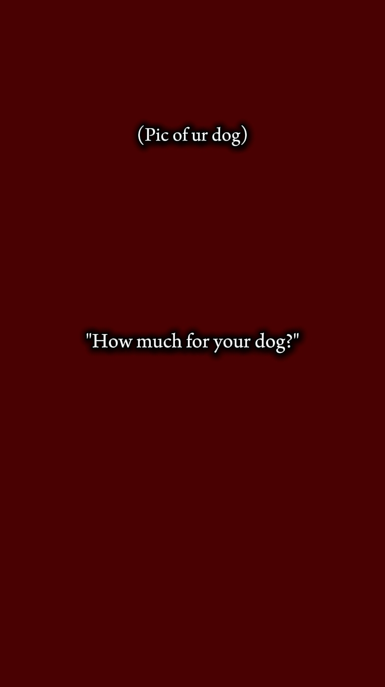 Perro