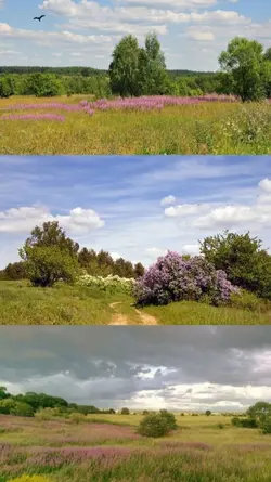nature 