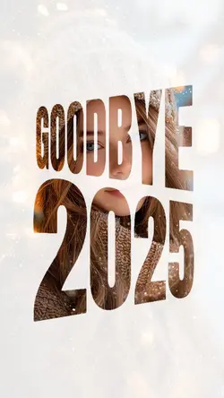 Goodbye 2025