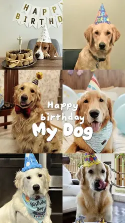 Birthday my dog 🐶