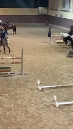 ladies and gentleman