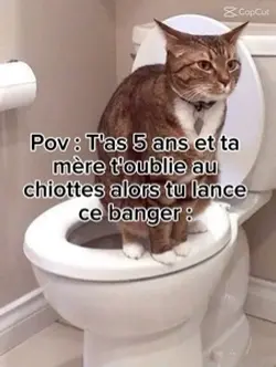 J’ai finiii mon caca