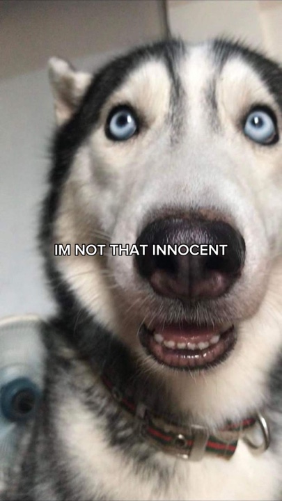 No soy tan inocente