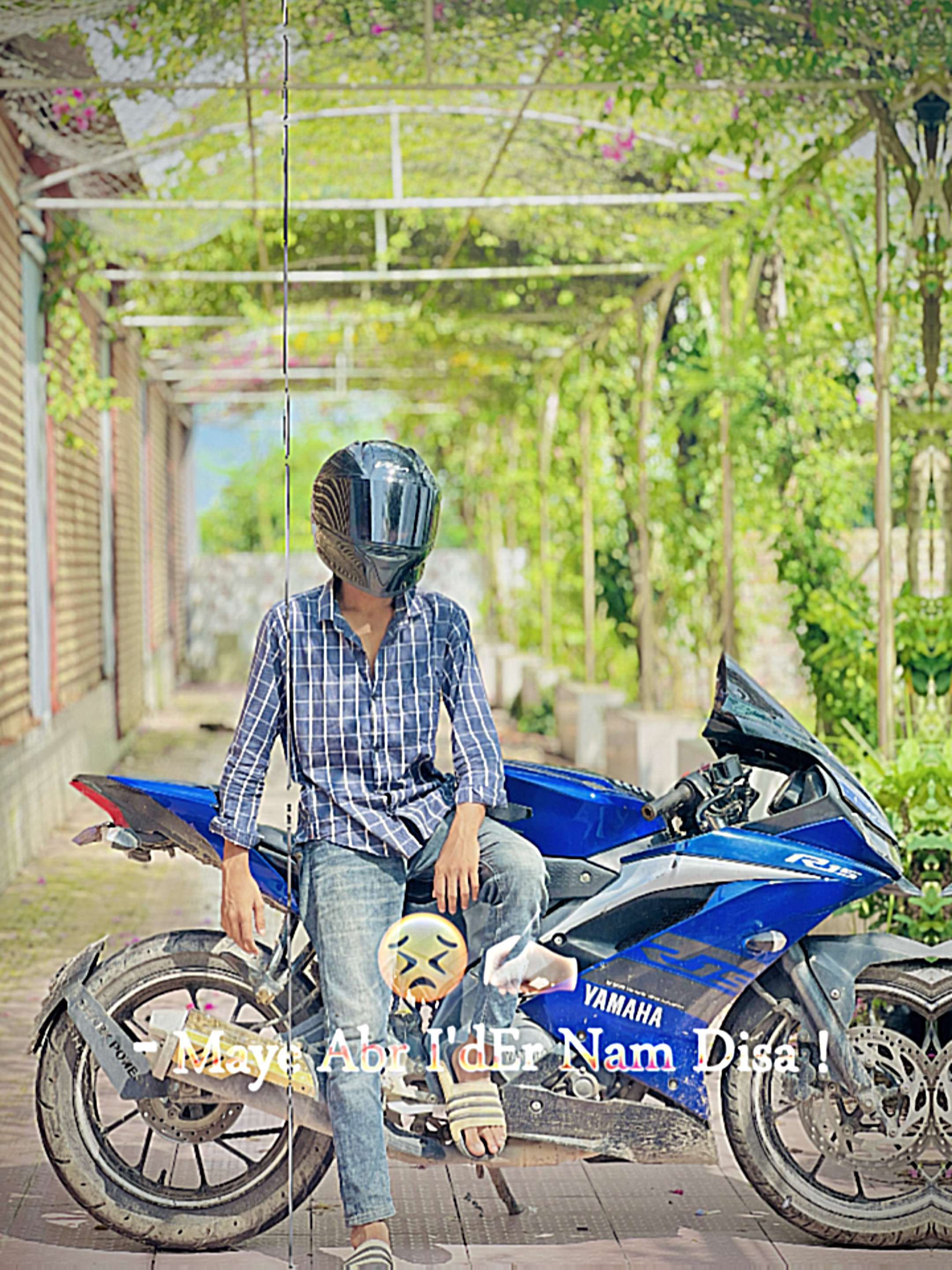 Cover Picture