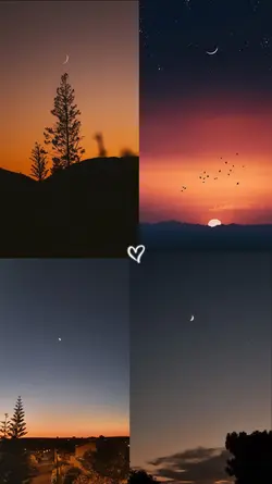 night  collage 