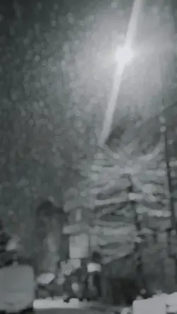 Şablon Viral
