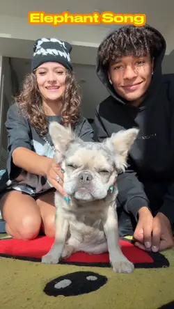 Elephant Song!❤️❤️❤️