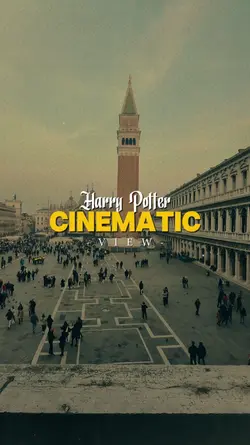 Harry Potter Vibes 