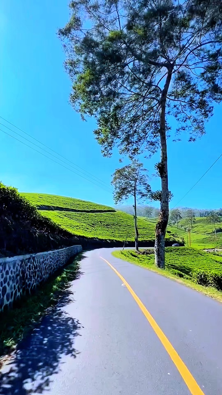 Viaje de aventura por carretera