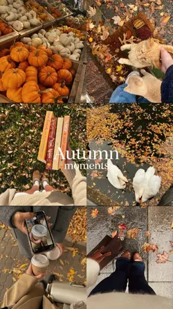 autumn moments