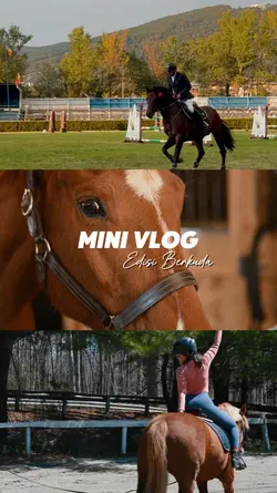 MINI VLOG BERKUDA