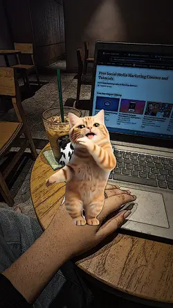 Curi Curi Pandang 