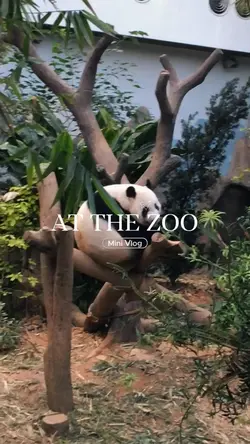 day at zoo
