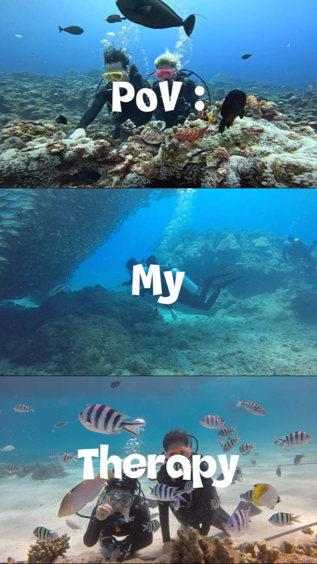 PoV : My Therapy 