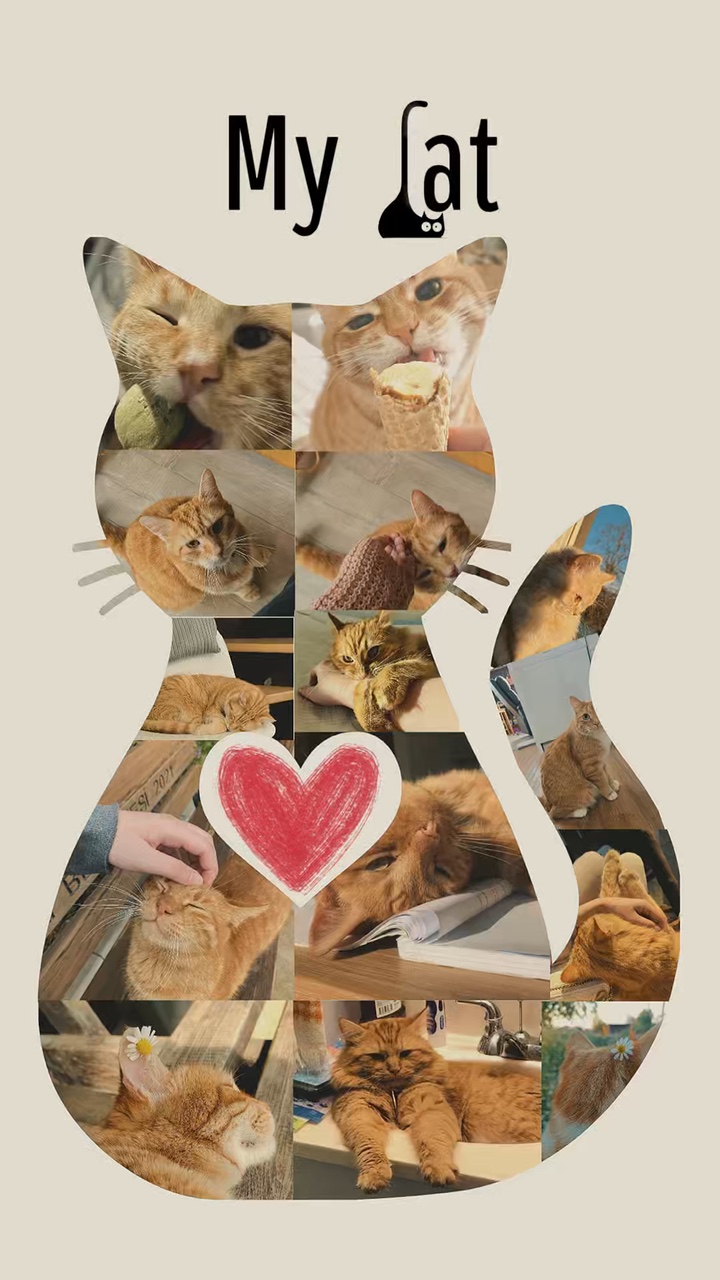 My Cat 🐈‍⬛