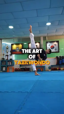 The Art of Taekwondo