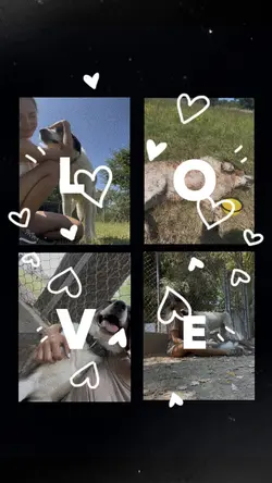 Love 🤍