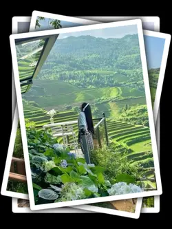 9Pic Frame Aesthetic