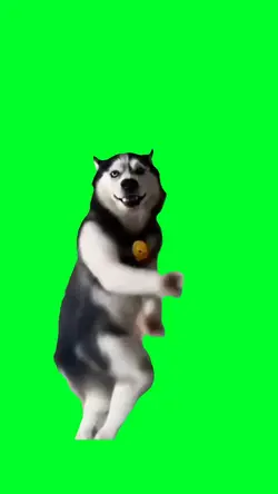 Husky dance trend