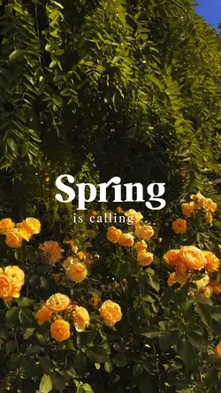 Spring is calling 
