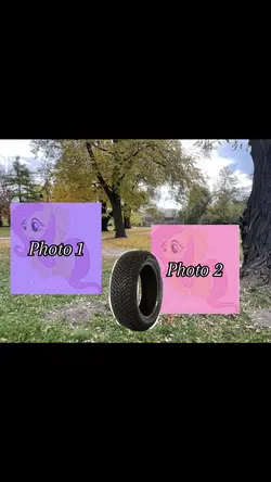 Królik zjadł tytuł 