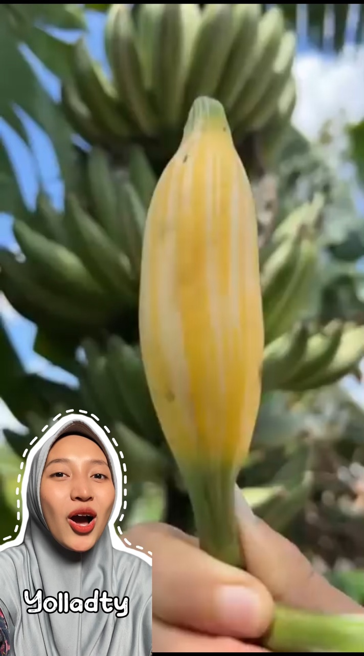 Reaction