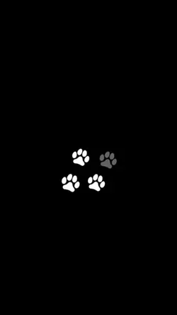 Dog templates 
