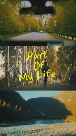 vlog 